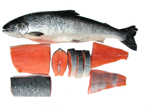 فوائد سمك السلمون للانسان
