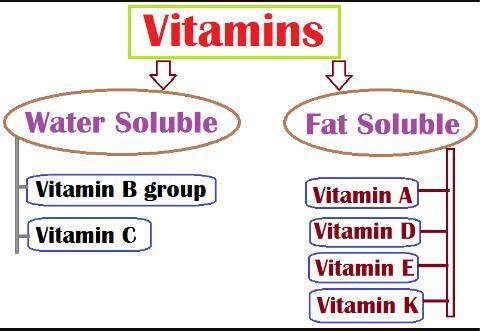 انواع الفيتامينات