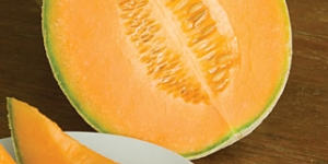 ريجيم الشمام cantaloupe