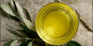 زيت الزيتون وقوة الذاكرة olive oil