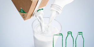 طريقة حفظ الحليب المعقم بصوره صحية