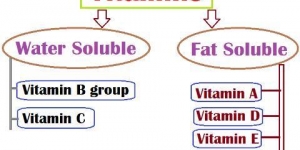 انواع الفيتامينات